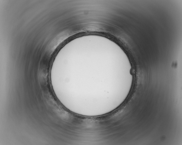 X0000112501065200909281152