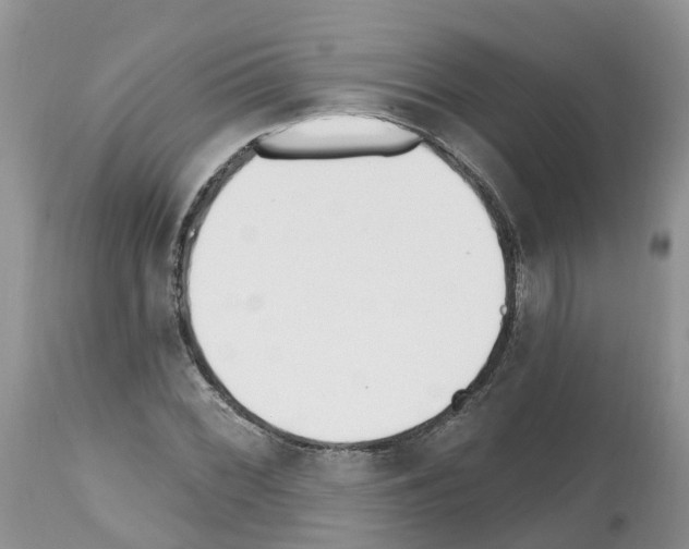 X0000112501068200909281152