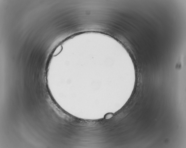 X0000112501072200909281151