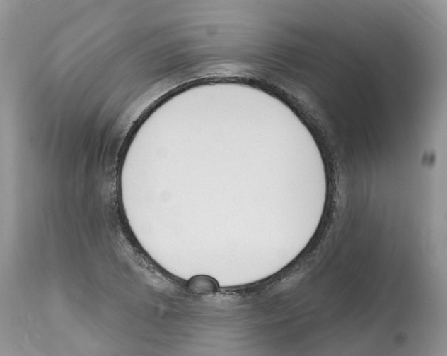 X0000112501073200909281151