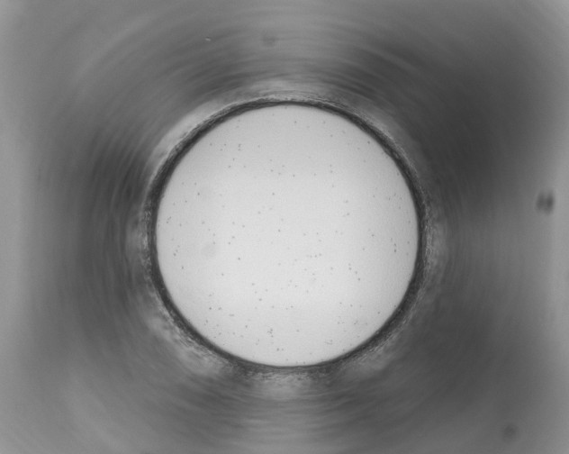 X0000112501074200909281151