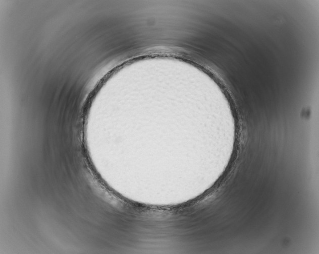 X0000112501075200909281151