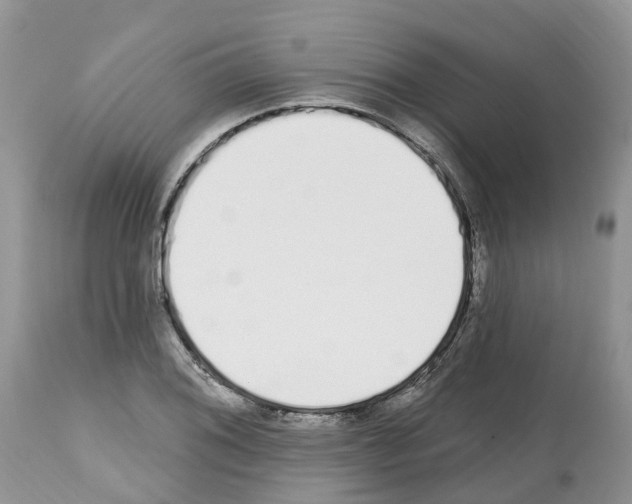 X0000112501076200909281151