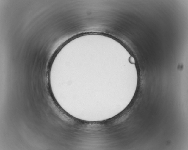 X0000112501077200909281151