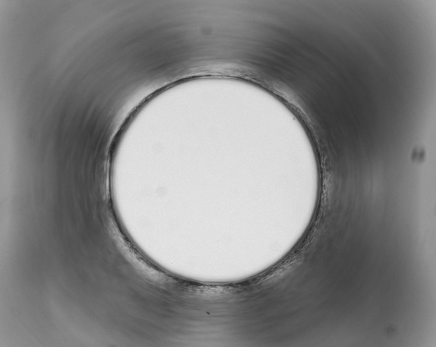 X0000112501079200909281151