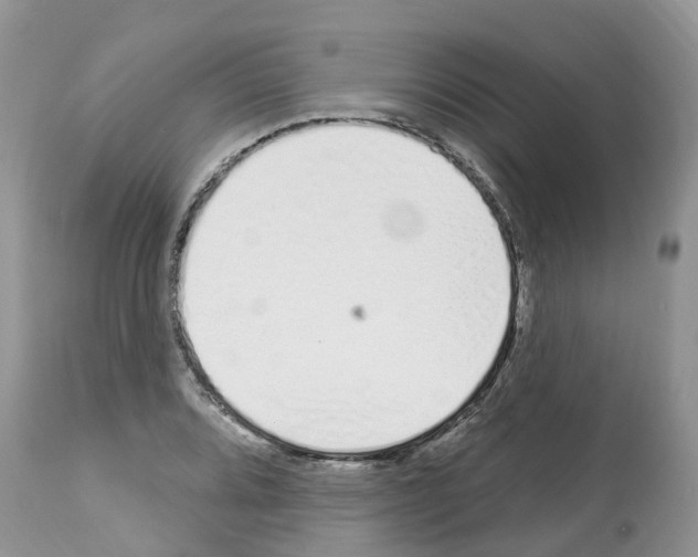 X0000112501080200909281151