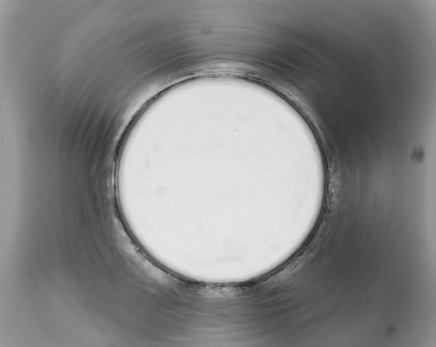 X0000112501083200909281151