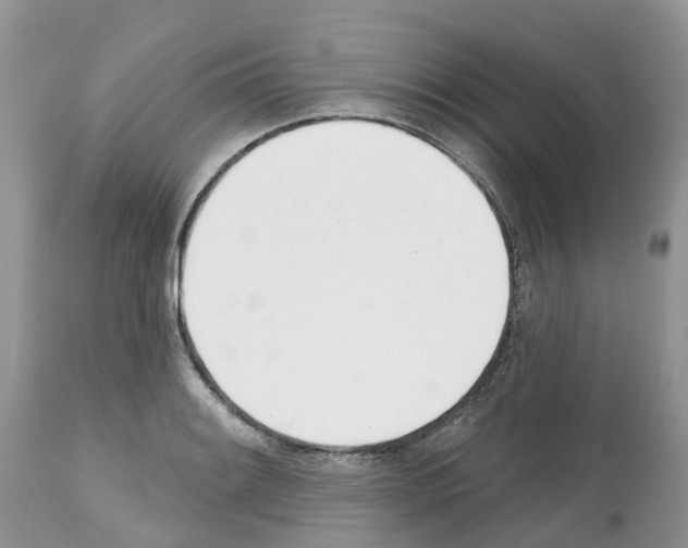 X0000112501084200909281151