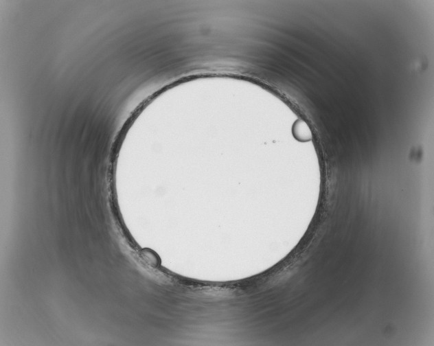 X0000112501085200909281151