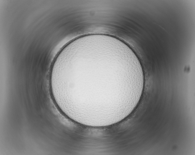 X0000112501086200909281151