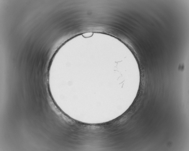 X0000112501088200909281151