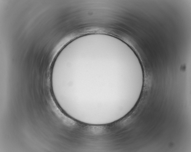 X0000112501090200909281151