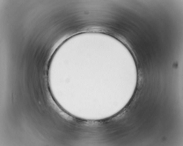 X0000112501091200909281151