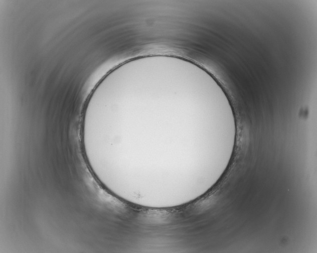 X0000112501094200909281151