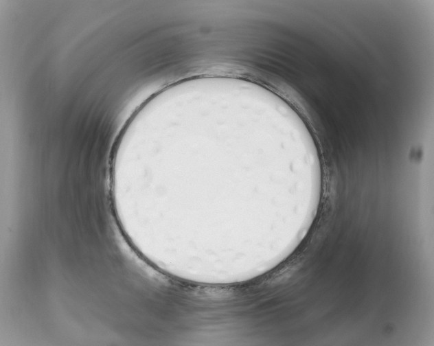 X0000112501095200909281151