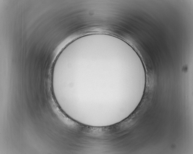 X0000112501098200909281151