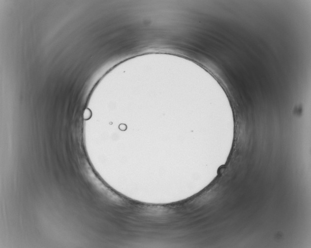 X0000112501100200909281151