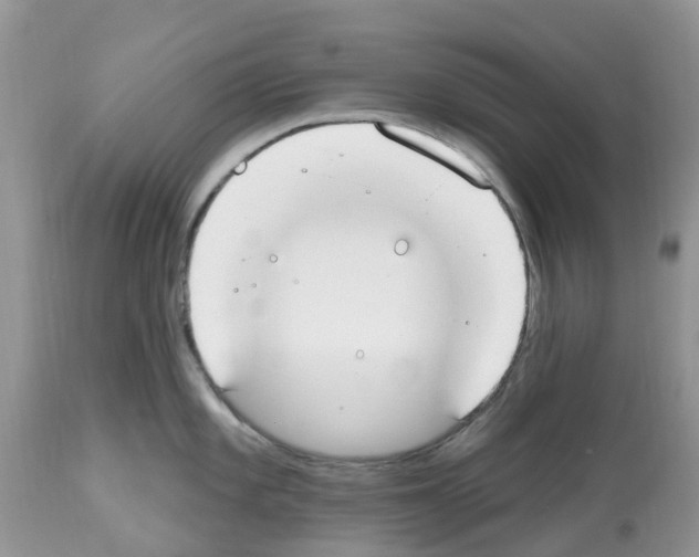 X0000112501101200909281151