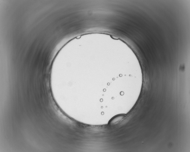 X0000112501102200909281151