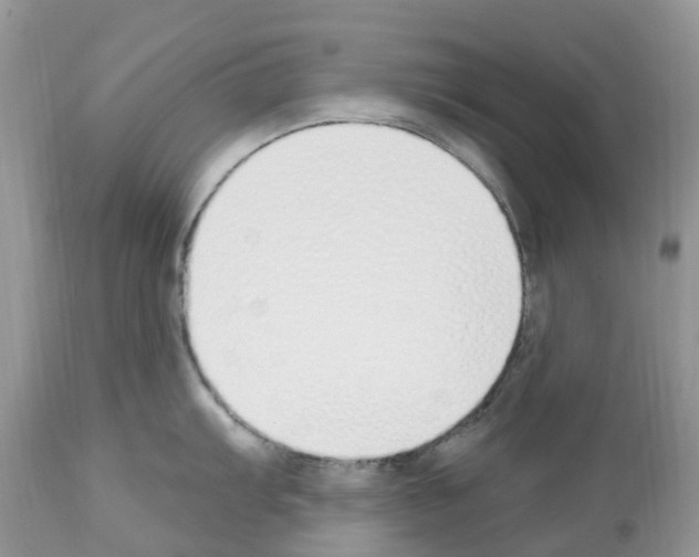 X0000112501103200909281151