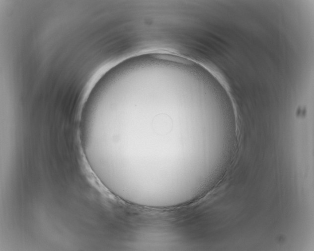 X0000112501104200909281151