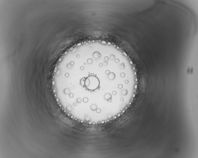 X0000112501105200909281150