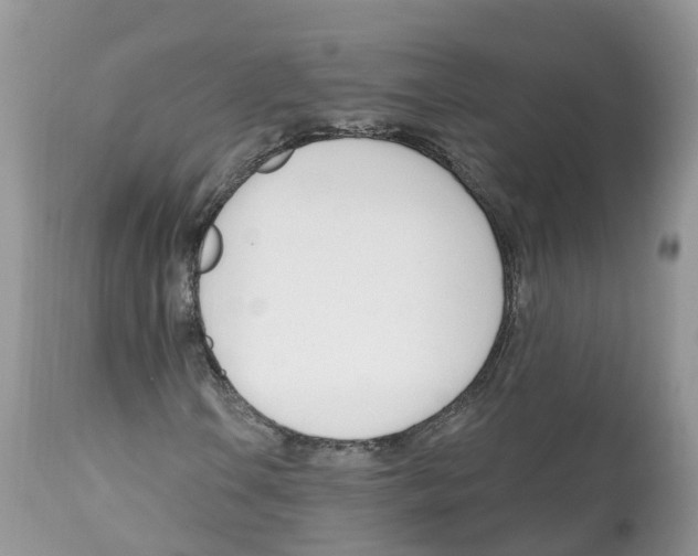 X0000112501106200909281150