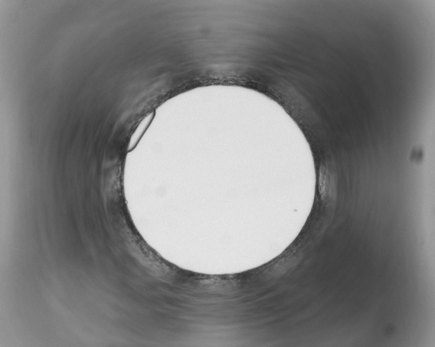 X0000112501107200909281150