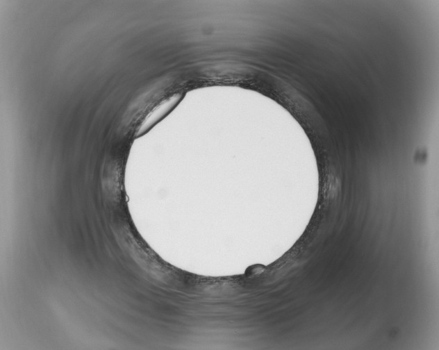 X0000112501108200909281150