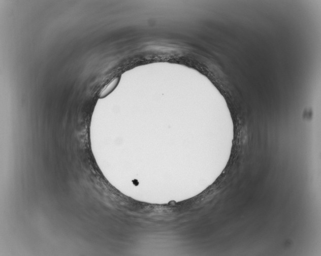 X0000112501109200909281150