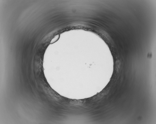 X0000112501111200909281150