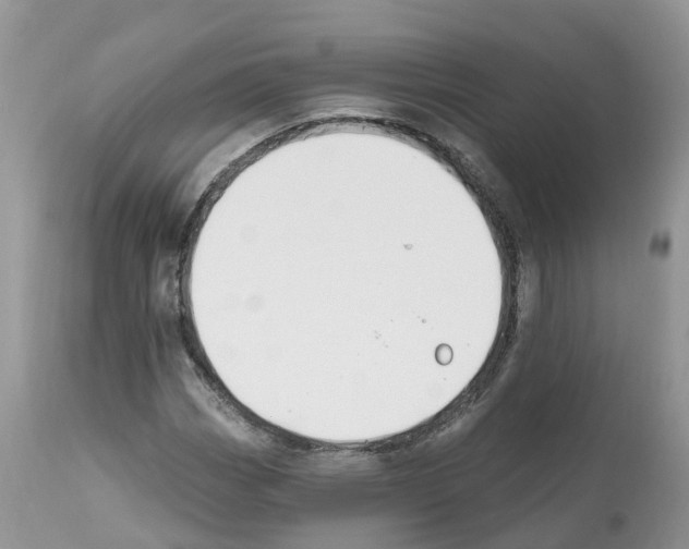 X0000112501113200909281150