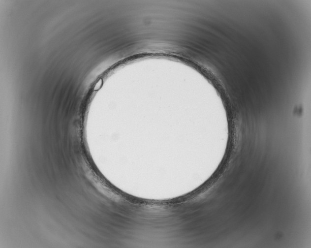 X0000112501114200909281150