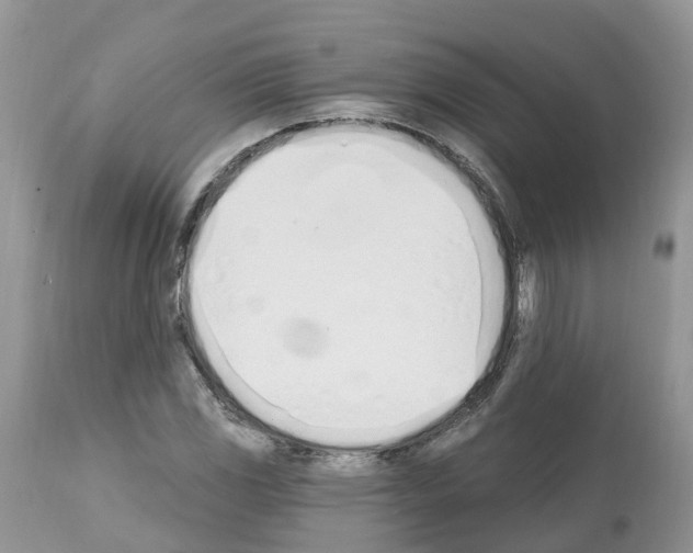 X0000112501117200909281151