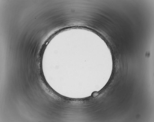 X0000112501118200909281151