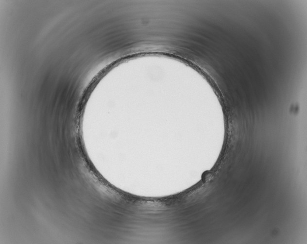 X0000112501119200909281151