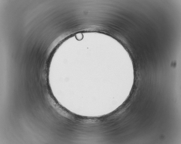 X0000112501122200909281151