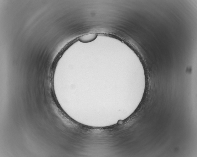 X0000112501124200909281151