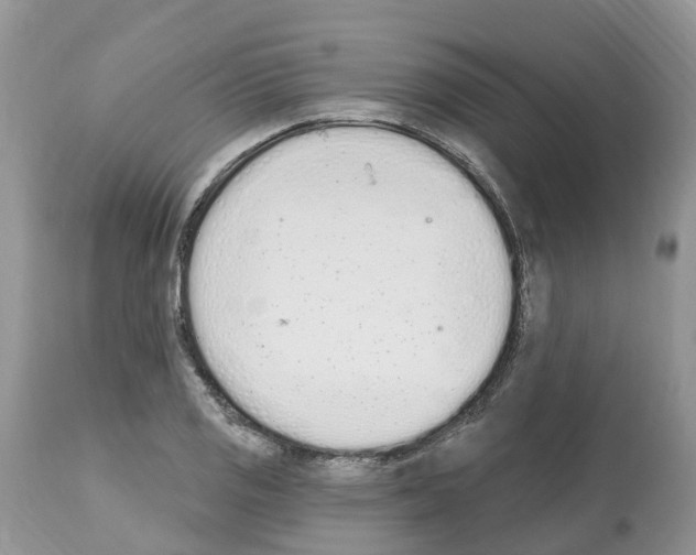 X0000112501125200909281151