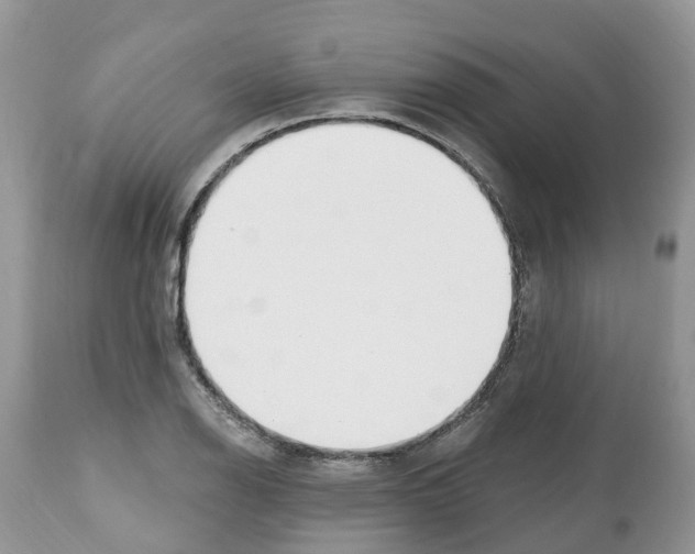 X0000112501126200909281151