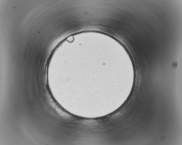 X0000112501127200909281151