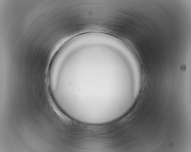 X0000112501128200909281151