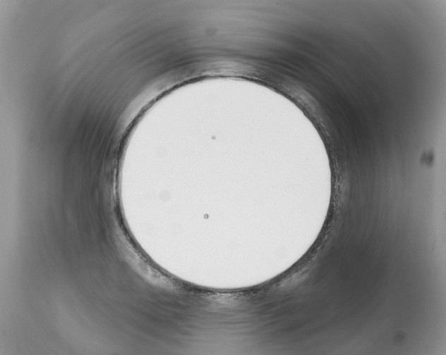 X0000112501130200909281151