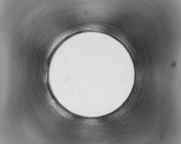 X0000112501131200909281151