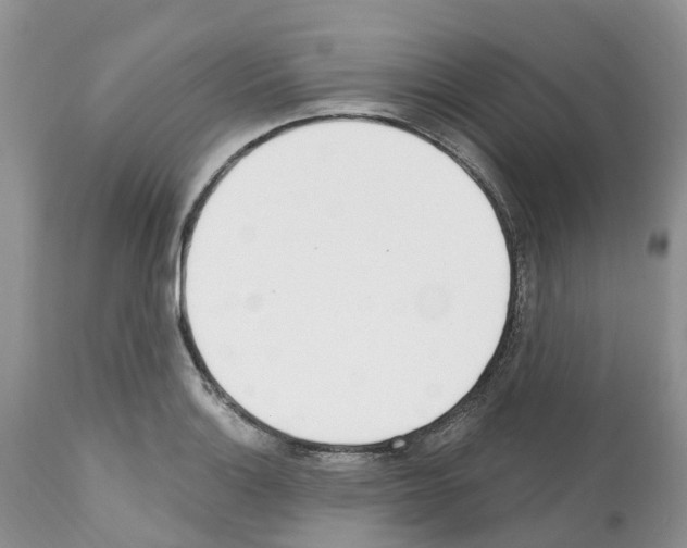 X0000112501132200909281151