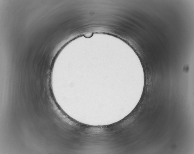 X0000112501134200909281151