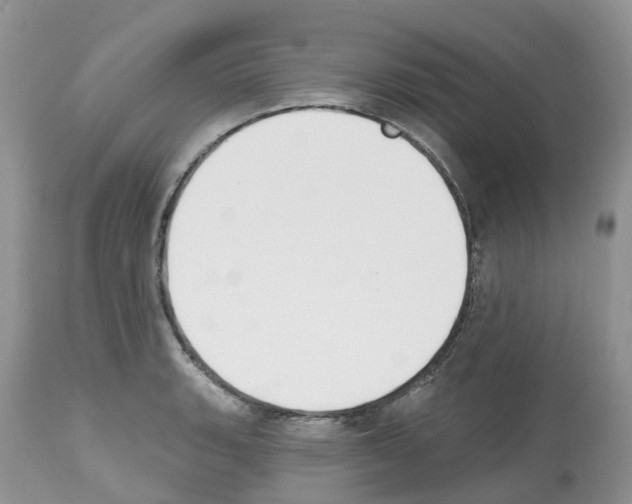 X0000112501135200909281151