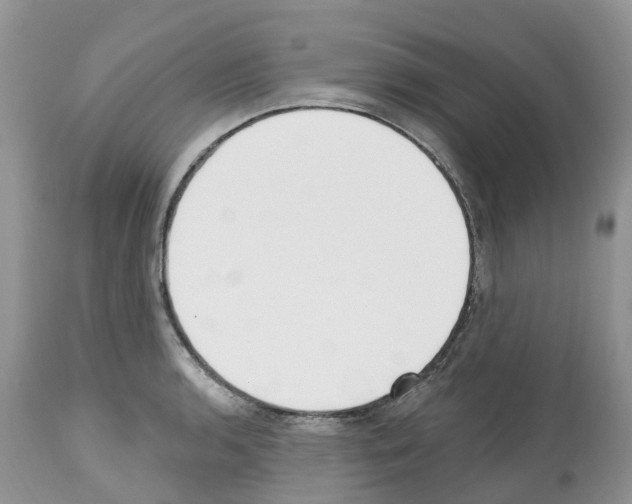 X0000112501136200909281151