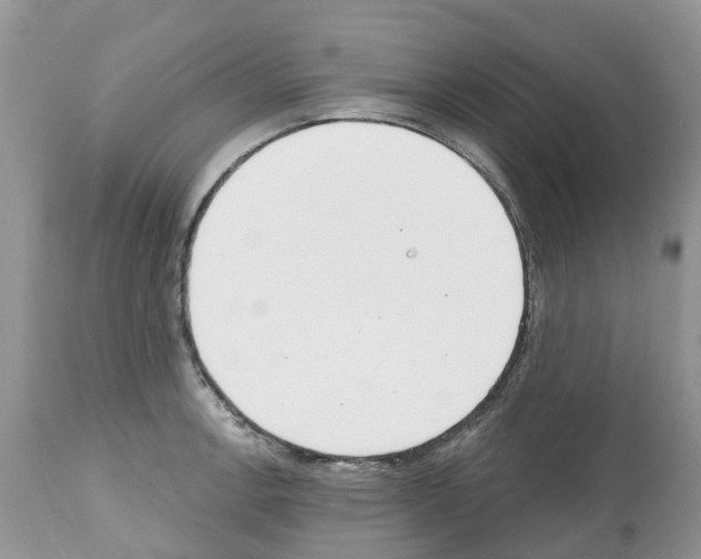 X0000112501138200909281151