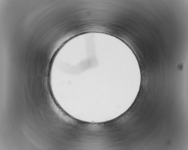 X0000112501139200909281151